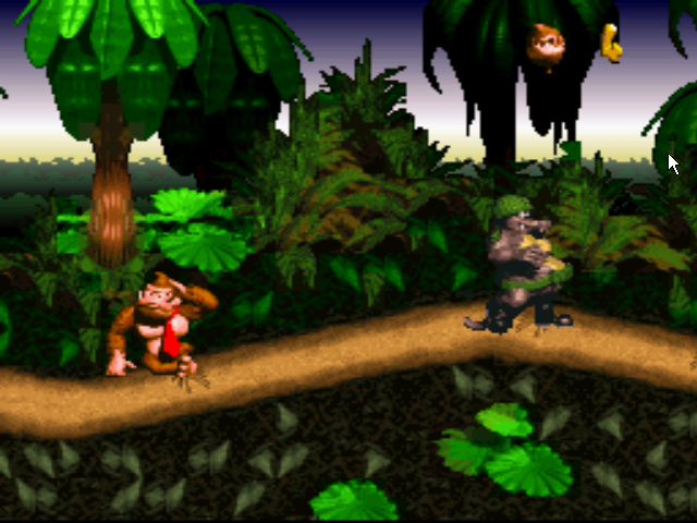 Donkey Kong Country